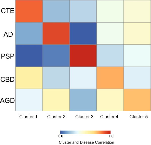 Partial Least Square regression identifies clusters of proteins that correlate with each tauopathy. Using the partial least square regression analysis, five clusters of ELISA proteins were identified and compared against each tauopathy to determine degree of correlation. Each comparison was a contrast of a single tauopathy against all other neuropathologies. Blue represents low correlation and red represents high correlation. Comparisons are adjusted for age at death and gender. Cluster 1 was most correlated with CTE, Cluster 2 with AD, Cluster 3 with PSP, Cluster 4 with CBD, and Cluster 5 with AGD