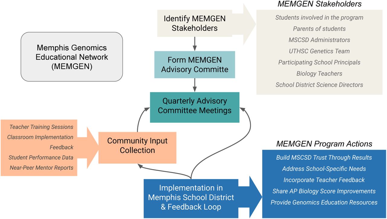Flow diagram illustrating the organizational structure and feedback processes of the Memphis Genomics Educational Network (MEMGEN).The diagram shows how stake-holder input from Memphis Shelby County School District (MSCSD) administrators, teachers, and genetics experts feeds into program implementation through an advisory committee system, with continuous feedback loops ensuring program improvement and effectiveness in genomics education delivery across Memphis schools.