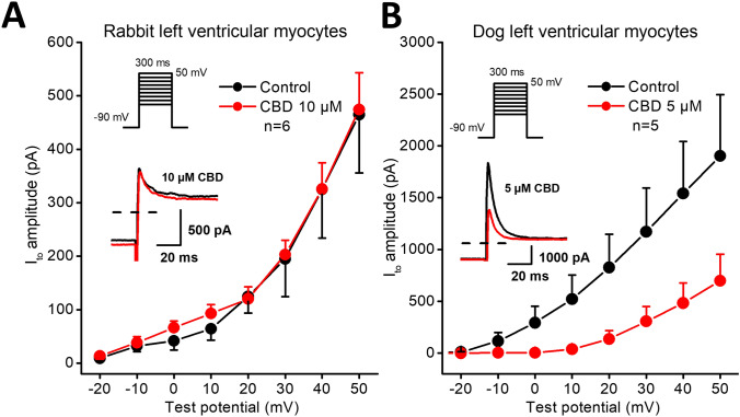 Effect of CBD on the transient outward potassium current (Ito) in rabbit and dog ventricular myocytes. Panels show current–voltage curves for Ito in control conditions and after application of CBD in rabbit (panel A) and in dog (panel B) ventricular myocytes. Insets indicate the voltage protocols and original Ito current records in control and in the presence of CBD. Dashed lines indicate zero current levels. Data are expressed as means ± SEM