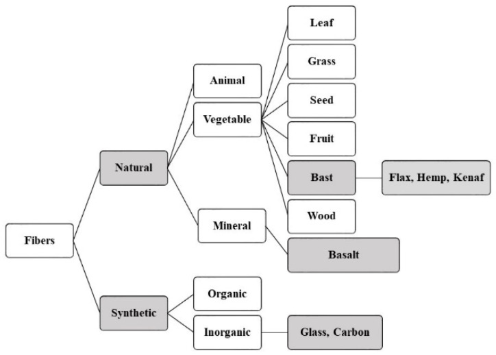 Classification of fibers ([4,6] modified illustration).