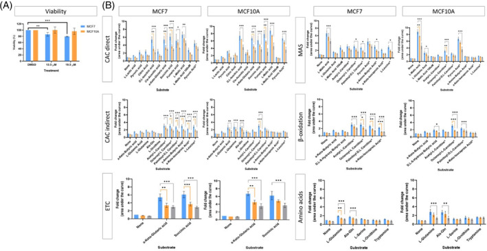 The effect of the cannabinoid ratio on the processing of bioenergetic substrates in the MCF7 cell line. The effect of treatment with the DMSO vehicle control (blue), and two concentrations of the cannabinoid ratio, 13.5 μM (orange), and 19.5 μM (grey) on (A) cell viability, determined using the crystal violet assay, and (B) the processing of 31 substrates, determined using the Biolog MitoPlate S‐1. The total area under the curve was calculated and expressed as a fold change relative to the no substrate control of the DMSO vehicle control (^indicates the substrate is in combination with 100 μM L‐malic acid; n = 3, data are presented as mean ± SD, *significant compared to respective DMSO control; *p < 0.05; **p < 0.01; ***p < 0.001). CAC, citric acid cycle; DMSO, dimethyl sulfoxide vehicle control; G3P, glycerol 3 phosphate; MAS, malate aspartate shuttle; PPP, pentose phosphate pathway.