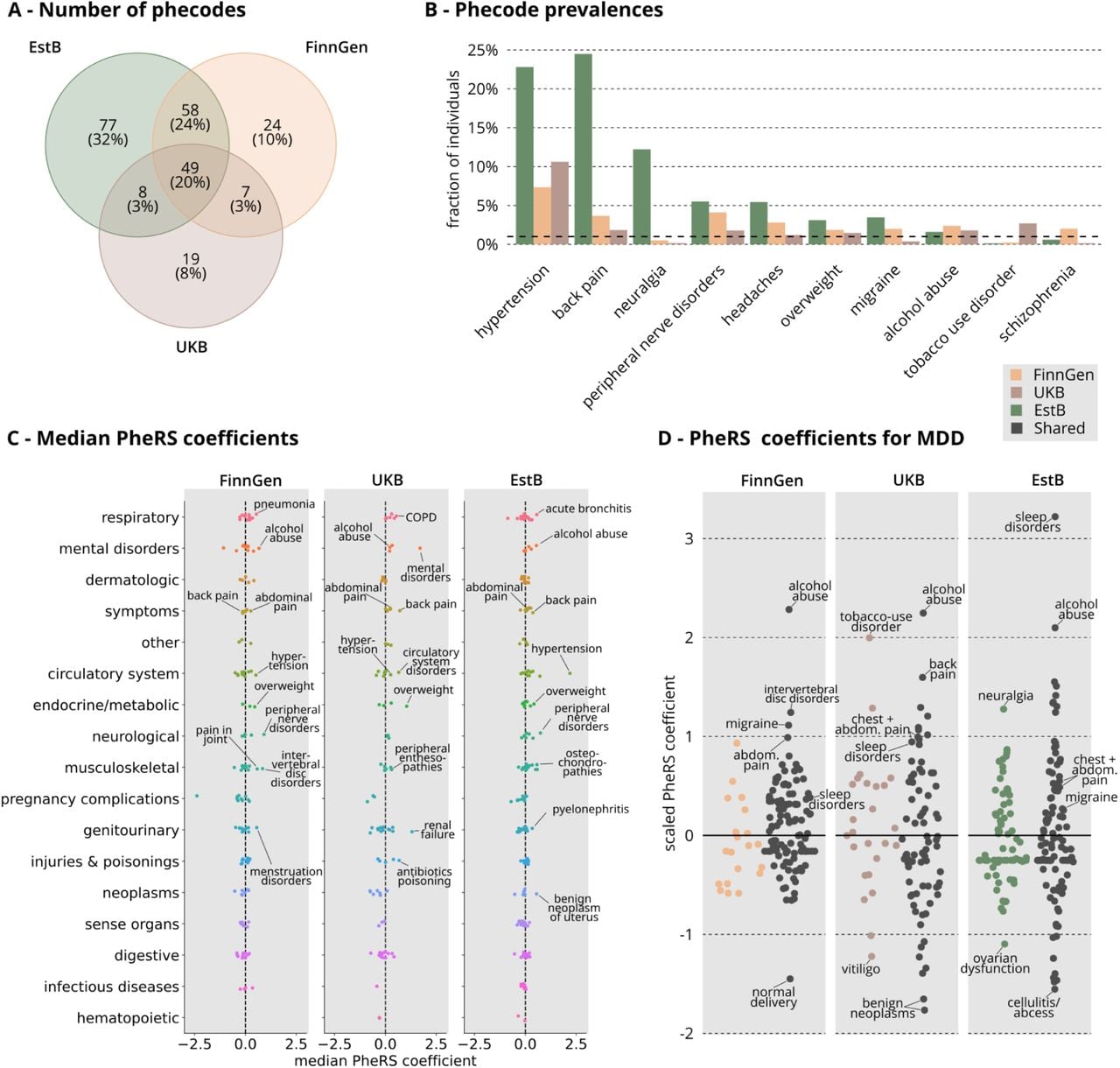 Phecode prevalence and coefficients in each study.Panel A: A Venn diagram showing the number of phecodes present in each of the three studies and shared between all combinations of the three studies. We only considered phecodes with a prevalence >1% in each study. Yellow color indicates FinnGen-specific codes, brown UKB-specific codes, green EstB-specific codes and black codes present in all three studies. The same color coding applies to panels B and D. Panel B: Phecode prevalences for selected example codes in the three studies. The black dashed line indicates a prevalence of 1%. Panel C: Median of PheRS coefficients over the 13 diseases in each study. Only coefficients used by at least 7/13 models in the studies are shown (see Methods for phecode exclusion rules in the PheRS models). Different colors and the y-axis labels indicate different phecode categories. Black dashed lines correspond to coefficient values of 0. Panel D: A detailed look at all the PheRS coefficients for major depression (MDD) in the three studies. Black color marks common phecodes in the MDD PheRS models across the studies, while other colors indicate biobank-specific codes (yellow=FinnGen, brown=UKB, green=EstB). PheRS coefficients are standardized to 0 mean and 1 standard deviation for each model separately for easier comparison of coefficient importance across the studies.