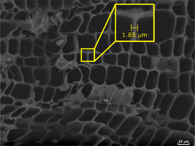 SEM image of the cross-section of hemp hurd wood chips.
