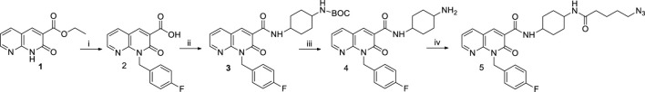Synthetic pathway for the synthesis of the intermediate 5. Reagents and conditions: i) a) DMF, Cs₂CO₃, 1h, rt; b) p-fluorobenzyl bromide, 50°C, 12h; c) NaOH 10%, 100°C, 24 h; ii) a) DMF, NEt₃, TBTU, 0°C, 30 min.; b) cis-4-(Boc-amino) cyclohexylamine, 0°C, 30 min.; c) rt, 12 h; iii) CH₂Cl₂, CF₃COOH, −20°C, 3h; iv) a) 5-azidopentanoic acid, DMF, NEt₃, TBTU, 0°C, 30 min.; b) compound 4, 0°C, 30 min.; c) rt, 12h.