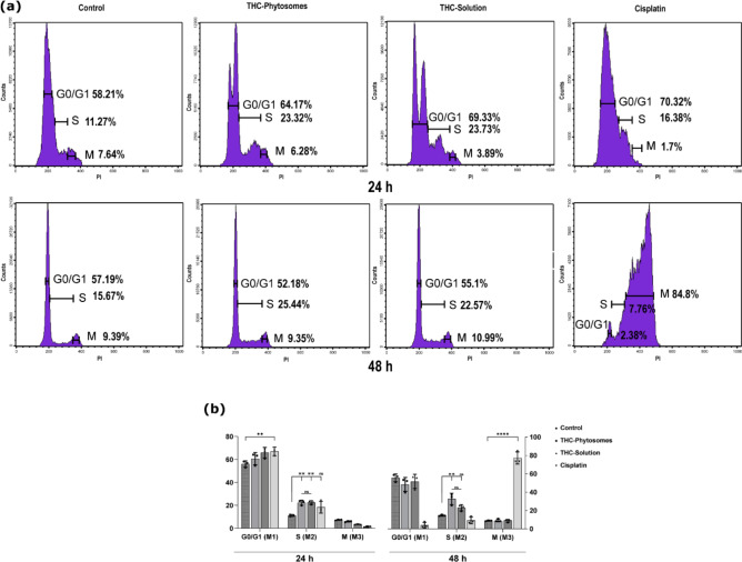 Cell cycle analysis by flow cytometry. (a) Representative RNase PI-marked histograms display the THC-phytosomes-induced arrest in the S-phase at 24 and 48 h. Cisplatin causes an arrest at the S-phase at 24 h, then shifts to an M-phase cell cycle arrest at 48 h. (b) A bar plot represents the cell population percentages in different cell cycle phases. A two-way ANOVA followed by multiple comparisons test shows * = p < 0.05, ** = p < 0.01, *** = p < 0.001, and **** p < 0.0001, while ns codes for p > 0.05. Data expressed as mean ± SD of triplicates (each replicate is one well of a 6-well plate seeded with 25 × 104 cancer cells)