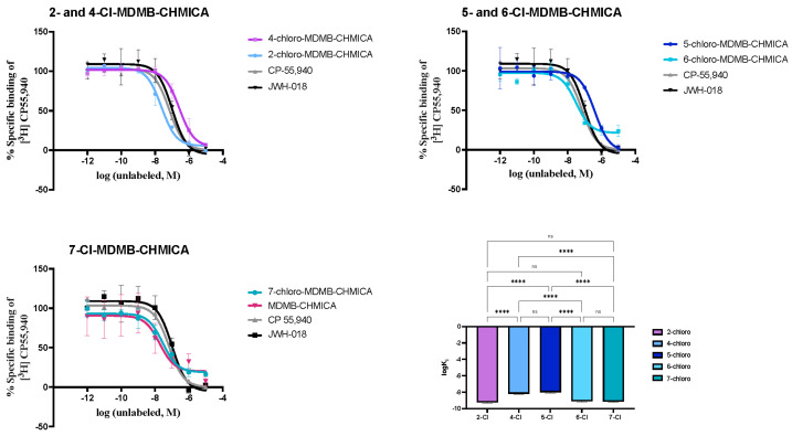 Concentration–displacement curves at the hCB1 receptor as obtained with the [3H]CP-55,940 mediated in vitro competitive binding affinity assay with the tested compounds. Data are shown as mean receptor affinity ± SEM, and experiments were performed in triplicate. ns = non significant difference; **** = significant difference with p = 0.0001.