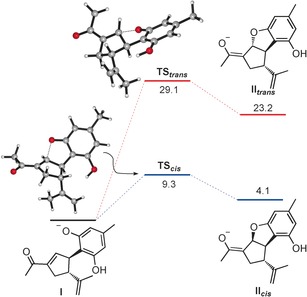 Energy profile (cis and trans) for the oxy‐Michael cyclization. DFT calculations (M06‐2x/6‐31G(d,p) (MeOH), ΔG (kcal mol−1).