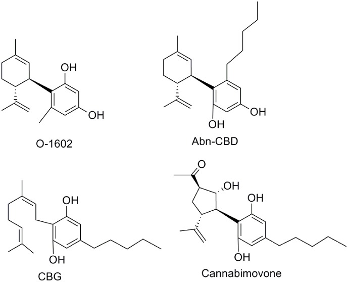 Miscellaneous CBD derivatives.