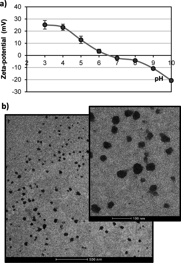 a Zeta-potential values recorded for a 0.1 mg mL−1 MIN suspension at different pH. b TEM images at different magnifications of developed imprinted nanoparticles