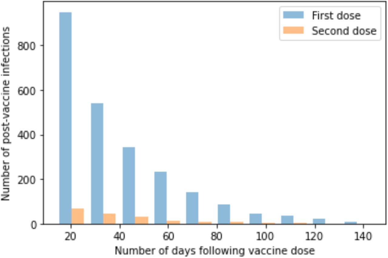 Histogram illustrating number of reported positive tests against number of days from first (blue bar) and second (orange bar) vaccine dose and for COVID-19 infection. NB these data are not adjusted for incidence of infection which changed over the same time period in the UK (29).