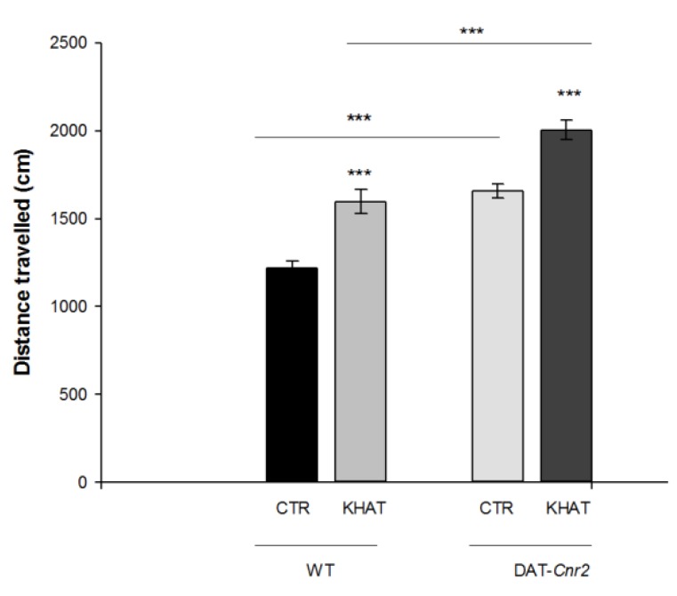 Sub-acute effect of khat extract on distance travelled (centimeters) in the activity monitor apparatus in wild type (WT) and DAT-Cnr2 mice. Values are mean ± SEM (n = 6 in each group). Statistical analysis was done using student t-test. *** p < 0.001. CTR (control group received the vehicle), KHAT (treatment group received khat extract in a dose of 300 mg/kg). CTR (control group received the vehicle), KHAT (treatment group received khat extract in a dose of 300 mg/kg). The vehicle and khat extract were administered to mice once daily for seven consecutive days.