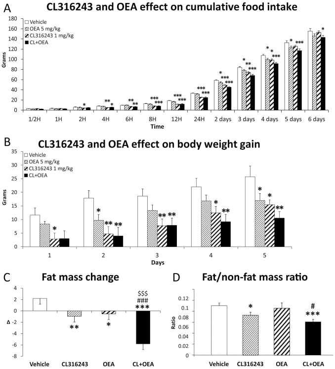 Effects of repeated administration of CL316243 (1 mg/kg) and/or OEA (5 mg/kg) on food intake, body weight and fat mass over 6 days of treatment. (A) Cumulative food-intake change over time. (B) Body weight gain change over time. (C,D) Fat mass change and final fat:non-fat mass ratio after 6 days of treatment. Histograms represent the mean±s.e.m. (n=8). *P<0.05, **P<0.01, ***P<0.001 versus vehicle-treated rats; #P<0.05, ###P<0.001 versus CL316243-treated rats; $$$P<0.001 versus OEA-treated rats.