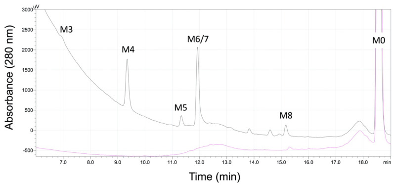 Chromatographic resolution of 5F-APINACA and metabolites as detected by absorbance. We resolved and analyzed analytes from a 250 μM 5F-APINACA reaction to identify potential metabolites using a Shimadzu UHFLC was equipped with an SPD-10A UV–Vis (280 nm) and RF-10AXL fluorescence (excitation 280 nm, emission 650 nm) detectors. The chromatogram for the reaction in the absence of the NADPH-regenerating system is shown in pink and the chromatogram from the reaction with the system shown in black. The resulting chromatogram shows absorbance peaks for five metabolites (M3, M4, M5, M6/M7, and M8) and parent 5F-APINACA (M0). M6 and M7 co-eluted when monitoring absorbance but were resolved when detecting by MS (see Results for details). Of the metabolites, M8 formed during reactions with and without NADPH and so was present in both chromatograms. Analyte numbering reflects more extensive detection of possible metabolites using the Agilent Technologic 1290 Infinity HPLC equipped with a 6490 Triple Quad MS (see Figure 2 and Figure A3).