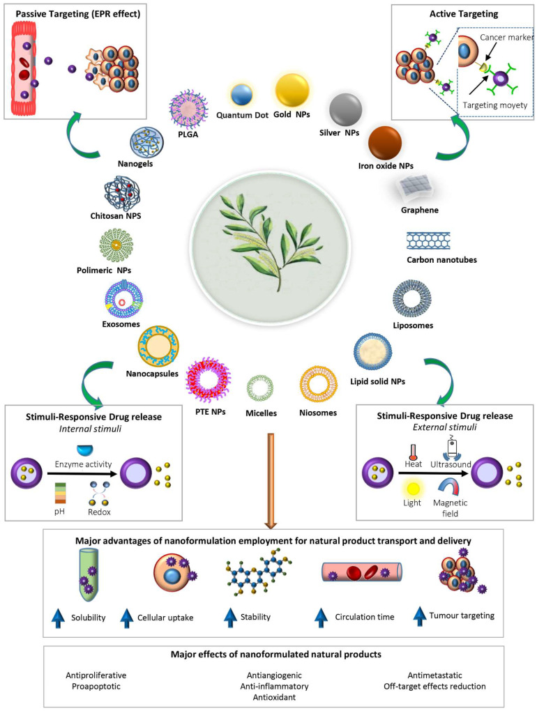 Pictorial representation of the main classes of nanoformulations for natural product transport and delivery. Schematic illustration of the passive, active targeting, and stimuli-responsive mechanisms of nano-based drug delivery systems, the stimuli-responsive drug release mechanisms, and the main advantages/effects of plants’ natural product nanoformulations’ employment in cancer therapy is reported.