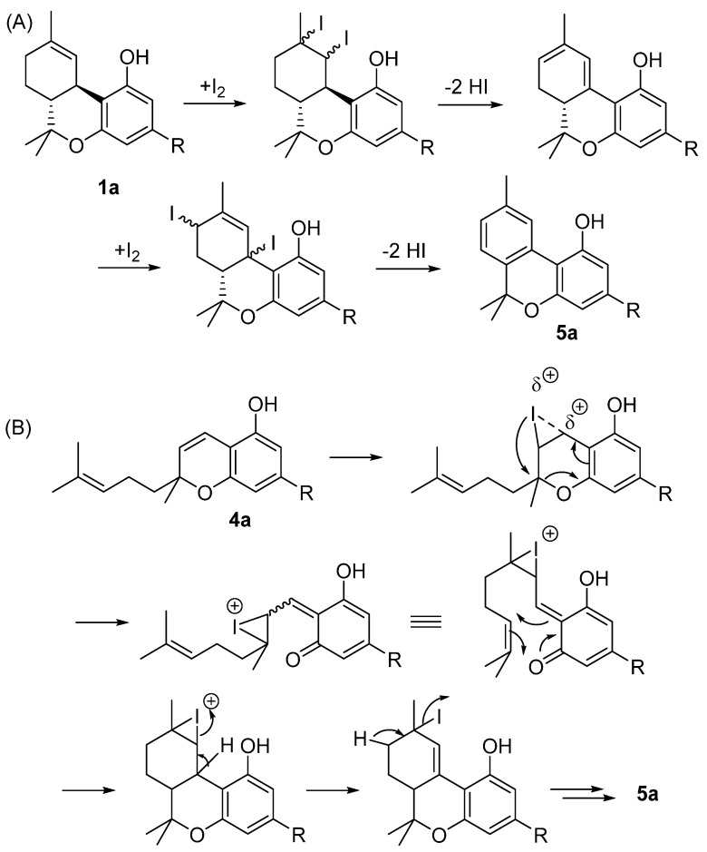 (A) The semisynthesis of CBN (5a) through an iodine-promoted cyclization of Δ9-THC (1a); (B) semisynthesis of CBN (5a) through an iodine promoted prenylchromene-benzochromane rearrangement of CBC (4a). R= n-pentyl.