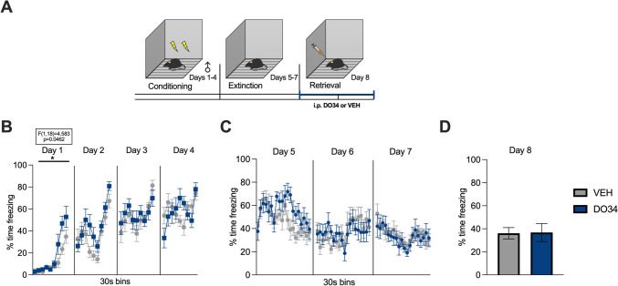 Pharmacological inhibition of DAGL during extinction retrieval does not affect the freezing behavior in male mice. (A) Schematic diagram of the experimental paradigm. (B) Percentage of time spent freezing during the acquisition of contextual fear. (C) Percentage of time spent freezing during extinction of contextual fear. (D) Percentage of time spent freezing during retrieval test when DO34 (50 mg/kg) was injected IP 2 h before each session. All values are presented as mean ± SEM (n= 10 male mice per condition)