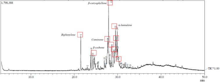 Phytochemical Content of VO. The GC-MS chromatogram of VO with methanol solvent was run with helium carrier gas using GCMS-QP2010S (SHIMADZU)
