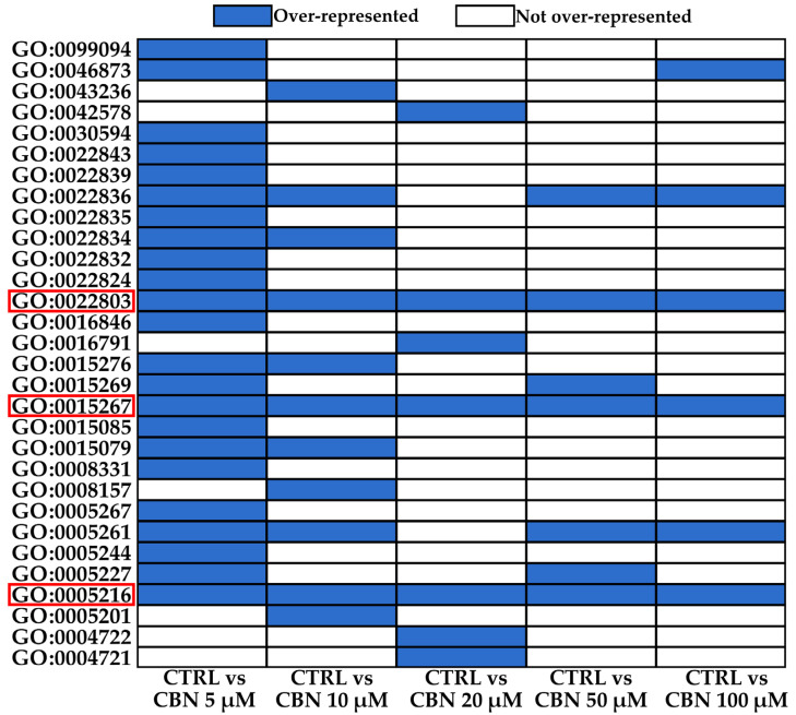 The graph shows the different MFs over-represented in the y axis and the comparison in the x axis. Each coloured cell highlights a specific MF over-represented in the comparisons. The MFs highlighted by red rectangles were over-represented in all the comparisons.