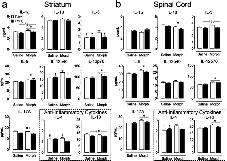 Cytokine concentrations (pg/mL) are impacted by Tat exposure and morphine in the striatum (a) and spinal cord (b) of Tat transgenic mice. Proinflammatory cytokines showed morphine- and Tat-specific effects in the striatum and spinal cord. Morphine treatment led to a significant increase in multiple proinflammatory cytokines in the striatum (IL-1α, IL-9, IL-12p70) and spinal cord (IL-9, IL-12p70, IL-17A), while reducing IL-1β in the spinal cord. Tat exposure reduced several cytokines in the striatum (IL-1α, IL-17A) and spinal cord (IL-3). Morphine and Tat interactions were noted for IL-3 and IL-12p40 in the striatum. Anti-inflammatory cytokine IL-10 (highlighted, bottom right) was elevated by morphine in the spinal cord and reduced by Tat expression in the striatum, whereas IL-4 indicated a significant morphine by Tat interaction for both CNS regions. All data are expressed as mean pg/mL ± SEM. Samples were normalized to 900 μg/mL (striatum) or 500 μg/mL (spinal cord) via BCA. Statistical significance was assessed by ANOVA followed by Tukey’s post hoc test; *p < 0.05 main effect of drug; #p < 0.05 main effect of genotype; †p < 0.05 vs. morphine-exposed Tat(−) mice; §p < 0.05 vs. morphine-exposed Tat(+) mice. Morph short-term (8-day) morphine injections. n = 5–6 mice per group