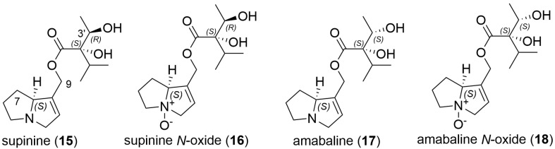 Structures of example supinidine monoester pyrrolizidine alkaloids.