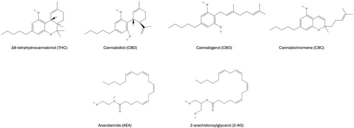 Chemical structures of some common phyto‐ and endocannabinoids.