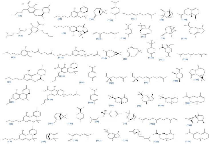 Chemical structures of the studied Cannabis sativa phytoconstituents.