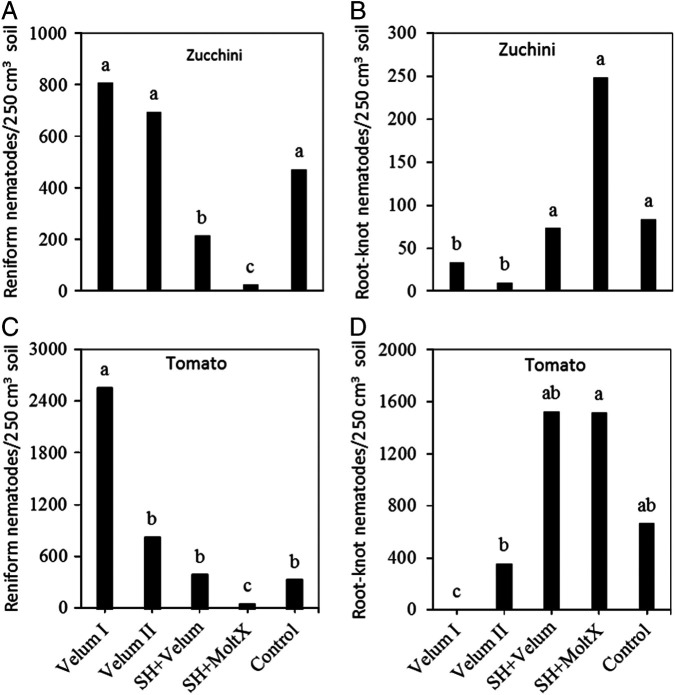Abundance of A) reniform and B) root-knot nematodes on zucchini or on tomato (C, D) affected by treatments in Trial II. Means (n = 6) followed by the same letter(s) are not different according to Waller-Duncan k-ratio (k = 100) t-test. Velum I = fluopyram treatment at crop planting; Velum II = fluopyram treatment at 2 weeks after crop planting; SH + Velum = pre-plant sunn hemp cover crop followed by fluopyram treatment 4 weeks after planting; SH + MoltX = sunn hemp cover crop followed by monthly azadirachtin treatment; Control = untreated bare ground.