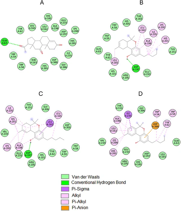 2D molecular interactions of C. sativa inflorescence: (A) 11‐ketoprogesterone, (B) 8‐tetrahydrocannabinol, (C) 9‐tetrahydrocannabinol, and (D) cannabinol with α‐amylase active site amino acid residues. Images generated using BIOVIA Discovery Studio V. 24.1.0.23298.