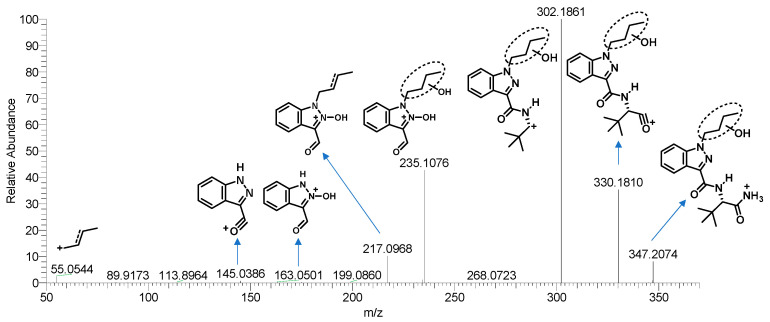 Mass spectrometry spectra and fragmentation of A1 (the monohydroxylated metabolite of ADB-BUTINACA, the wavy bonds position unassigned).