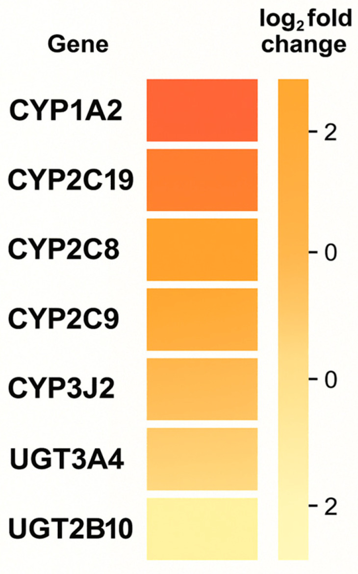 Heatmap of differential gene expression (log2 fold change) associated with cannabinoid exposure.