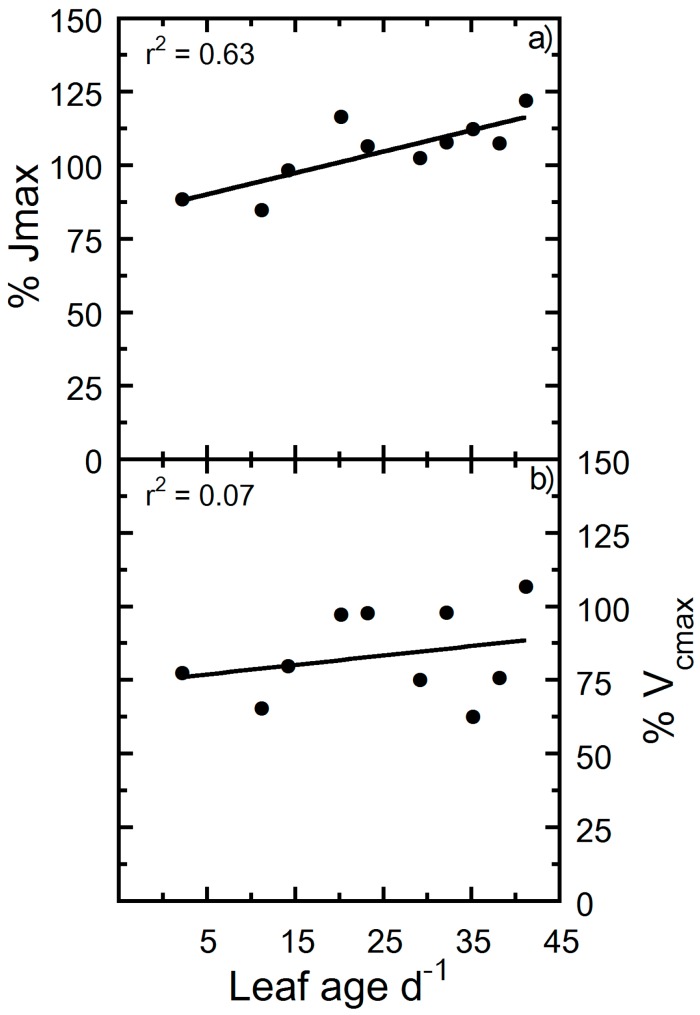 Percent change of photosynthetic physiology to photon flux of 1500 versus 500 μmol m−2 s−1. (a) Percent change of 500 relative to 1500 μmol m−2 s−1 maximum electron transport rate (Jmax) and (b) percent change of 500 relative to 1500 μmol m−2 s−1 maximum Rubisco carboxylation rate (Vcmax). Solid lines are linear regressions fitted to the entire data set.