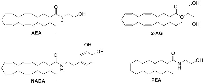 Structure of selected endocannabinoids that target TRP channels.