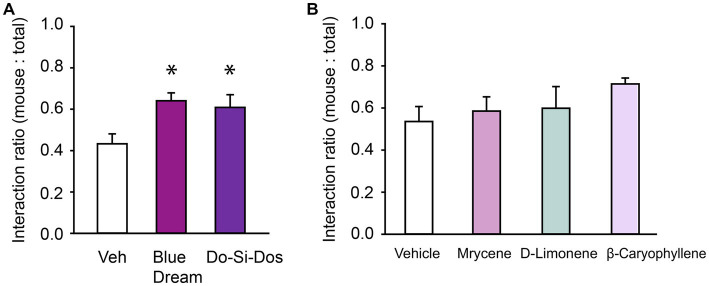 Cannabis terpene blends confer prosocial effects. (A) Bar chart showing the effect of Blue Moon and Do-Si-Dos terpene blends have on the social interaction ratio in the Three Chamber Test of Social Interaction in female mice. (B) Bar chart showing the effect of individual terpenes on the social interaction ratio in female mice. * Indicates differences compared to the vehicle condition.