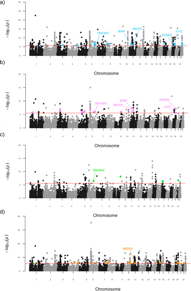 Pairwise genic meta-analyses of schizophrenia and SUDs.Manhattan plot for each meta-analysis that displays the −log10-transformed P-value for association for genes, which were tagged by at least one SNP in the respective GWAS. The red line represents the Bonferroni threshold for multiple-testing correction (P < 2.7 × 10–6). Genes highlighted on each plot were not Bonferroni significant in the individual GWAS, with overlapping genes across meta-analyses labelled. a SZ and AD, b SZ and CUD c SZ and ND, d SZ and OD.