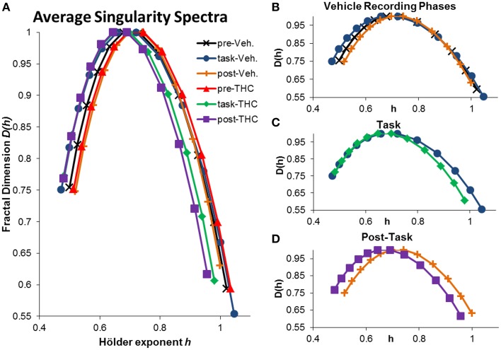 Average singularity spectra across recording phases and drug conditions. Average spectra were computed by averaging all neurons within the respective recording phase and drug condition. A total of 197 hippocampal neurons were recorded from 10 different rats. Each neuron was recorded from the same electrode over multiple days and multifractal analysis was performed on a total of 5143 individual ISI sequences. 771–1004 individual ISI sequences were averaged for each condition. The legend in the upper right corner of (A) holds true for all figures. (A) Average singularity spectra were obtained from all neurons recorded during their respective recording phase and drug condition. (B) Average singularity spectra from all recording phases during vehicle treatment are plotted for comparison. Neurons exhibit greater multifractal complexity (i.e., wider singularity spectra; wider range of Hölder exponents h) during the task compared to either resting state. Long-range temporal correlations, indicated by the Hurst exponent, which is closely related to the Hölder exponent at the apex of the singularity spectrum [where D(h) = 1], are stronger during the resting states compared to the task. (C) Average singularity spectra from both drug conditions during DNMS task recordings show that THC reduces multifractal complexity, as indicated by decreased singularity spectra width. (D) Average singularity spectra taken from post-task recording phases show that THC reduces LRTCs (i.e., decreased Hurst exponent) compared to vehicle recordings; this effect is seen as the leftward shift in the THC spectrum comapred to the vehicle one. Multifractal complexity was unchanged by THC during post-task recordings.