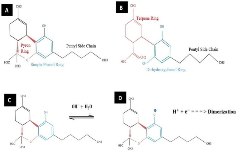 Chemical structures of (A) Δ9-tetrahydrocannabinol (Δ9-THC) and (B) cannabidiol (CBD). Irreversible oxidation of Δ9-THC: (C) before and (D) after deprotonation. Reprinted and adapted with permission from ref. [5]. Copyright 2020 American Chemical Society.
