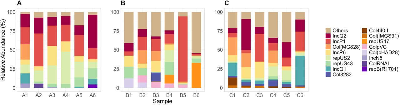 The relative abundance of the top plasmid replicons from Hospital A (A), Hospital B (B), and Hospital C (C). Plasmid replicons not part of the top were grouped as”Others.”