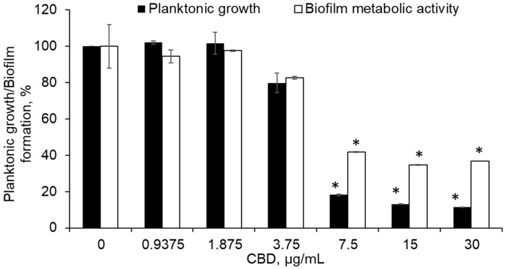 CBD precoating of the culture wells prevented planktonic growth and biofilm formation of S. mutans. The bacteria were cultivated on CBD precoated surfaces of a 96-well tissue culture plate under a planktonic or biofilm-forming condition. The bacterial growth was measured at an OD of 595 nm. The biofilm metabolic activity was determined by MTT assay. The average and SEM from three independent experiments are presented. * p < 0.05 in comparison to the control of the same time point.