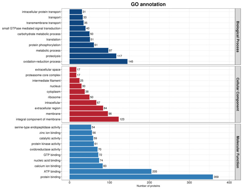 Histogram of all GO annotation results. The horizontal coordinates represent the number of proteins, while the vertical coordinates represent the GO entries to which the proteins are annotated.