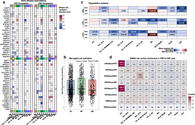 Differential accessibility analysis reveals prominent changes in tauopathy-associated genes in neurons and glia. a Heatmap indicating significance and magnitude of GA changes at the top50 tauopathy-associated gene loci in PSP-(left) and CBD-(right) assigned cells and their gene-cell type pairs. Color shading represents the difference from reference gene-cell type pairs in Ctrls. Only gene-cell type pairs with p < = .05 are depicted (Wilcoxon rank-sum test, BH-correction). All major cell types except for microglia (and OPCs in PSP) exhibit significant GA changes in respect of these tauopathy-associated candidates. b Boxplots of microglial cell activation-associated GA patterns (AmiGO database) in microglia of the snATAC-seq dataset indicate no significant differences between compared groups. Nuclei-specific GA means of genes related to this GO term are given on the y-axis and compared between group entities on the x-axis. Single nuclei are depicted as black dots. The hinges of each box correspond to the 25th and 75th percentiles with medians drawn as black bar. The 1.5-times inter‐quartile ranges are shown as black whiskers. Two-tailed Welch's t-test, referencing the Ctrl set, p values as indicated. c Protein homeostasis-related genes across all cell types differentiated by group entity and degradation pathway show reduced system-level GA in Ast, most neuronal, and Oli populations, while Mic exhibit marked CMA and UPS inductions in PSP. Color coding shows aggregated mean scores of accessibility values at genes that were altered significantly and associated with either the CMA (top), UPR (middle), or UPS degradation systems (bottom). P values are given for each group vs. Ctrl comparison (two-tailed Welch t test, if p < = .05). d Heatmap of genetic risk variant enrichment results in tauopathy cortices resolved by cell type assignments (x-axis) and GWAS data set (y-axis) highlight Ast, which exhibit strong enrichment. Color code indicates z scores and text inserts depict the uncorrected p value (italic) as well as the BH-corrected p values (bold, Wilcoxon rank-sum test). Abs.diff. absolute difference, CMA chaperon-mediated autophagy, Dis.Ent. disease entity, Exc. DLN excitatory deep-layer neurons, Exc. ULN excitatory upper-layer neurons, FDR false discovery rate, GA gene accessibility, Inh. N. inhibitory neurons, Mic microglia, NA not assessable, Oli oligodendrocytes, OPC oligodendrocytic precursor cells, UPS ubiquitin–proteasome-system, UPR unfolded-protein-response
