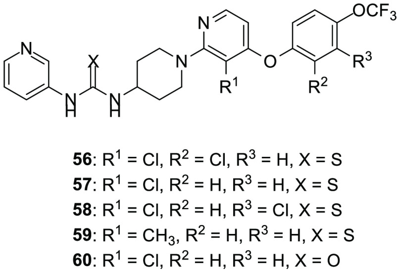 Synthetic ABHD12 inhibitors.