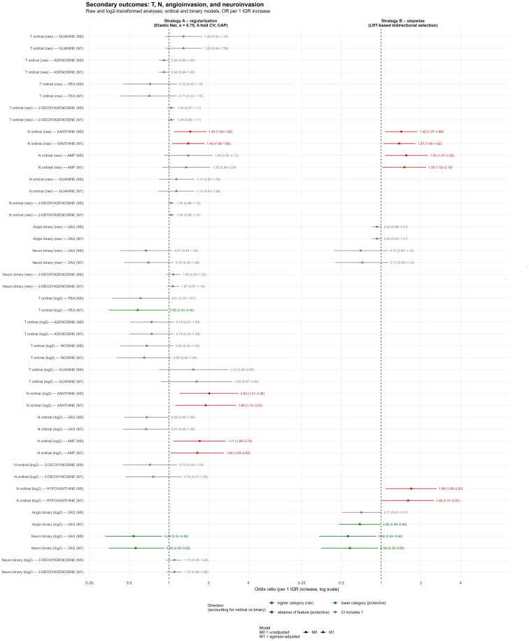 Forest plot comparing odds ratios and confidence intervals for secondary outcomes including T, N, angiogenesis, and neuroinvasion, with two strategies: regularization and stepwise selection, highlighting significant results in red or green for higher or lower risk categories, and gray for non-significant findings.