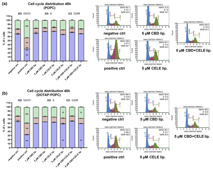 Cell cycle analysis of U-87 MG cell line treated with CBD, CELE, and their combinations loaded in POPC liposomes (a) and DOTAP:POPC liposomes (b) for 48 h using the Muse Cell Cycle Kit. Non-treated cells and DOXO (1 µM) served as negative and positive controls, respectively. Values are expressed as mean ± SEM from two independent experiments. An asterisk (*) and double asterisk (**) indicate values significantly different from the untreated control cells with p < 0.05 and p < 0.01, respectively. Representative histograms are also presented.