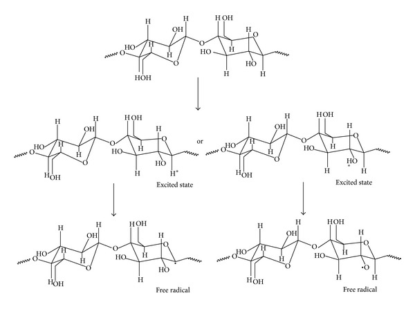 Radical formation on the cellulose chains.