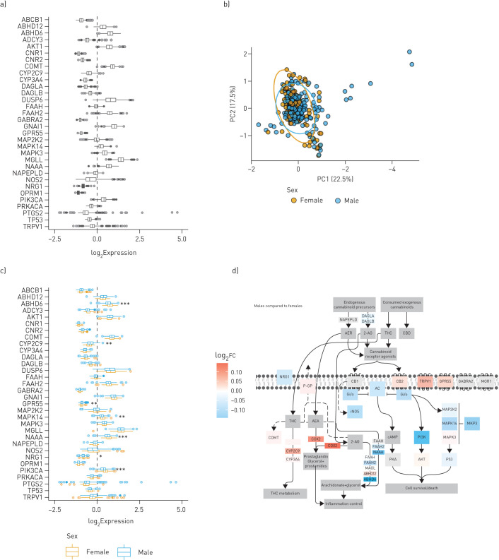 Impact of sex status on endocannabinoid system gene expression in human airway epithelial cells from healthy individuals. a) Gene expression data for 616 healthy subjects with no history of smoking or chronic respiratory disease. b) Principal-component (PC) analysis plot of healthy females (n=103) and males (n=227) generated by expression patterns of the 32-gene endocannabinoid signature. The first (22.5%) and second (17.5%) PCs were used. Ellipses were added to represent 95% confidence intervals per sex. c) Healthy samples with metadata defining sex were further divided into male and female groups and plotted separately as blue and orange-outlined box plots, respectively. For both a and c, log2-transformed expression values were plotted as box plots. The dashed line at zero represents the global baseline of expression for the entire set of genes. d) Visual representation of the differences between healthy females and males in the 32-gene endocannabinoid signature. Colour coding is reflective of log2 fold change of males relative to females. THC: tetrahydrocannabinol. *: p<0.05; **: p<0.01; ***: p<0.001.