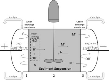 The 3-compartment EDR cell