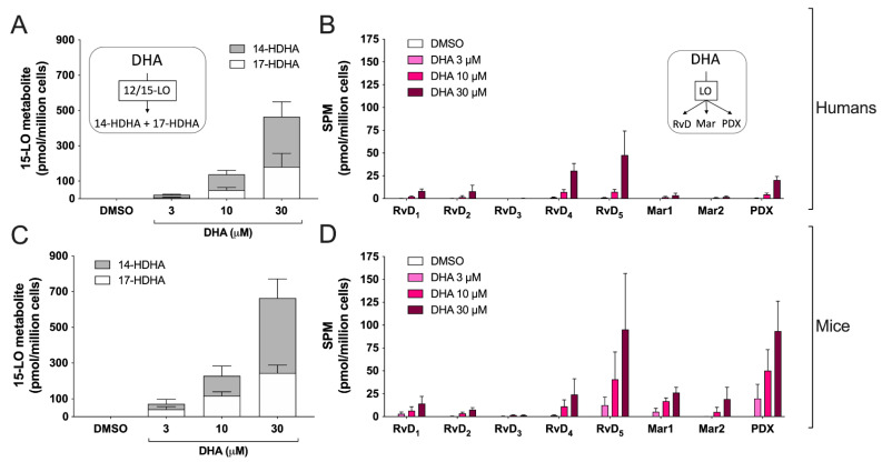 Biosynthesis of docosanoids by human and mouse eosinophils. EOS suspensions (5 × 106 cells/mL, 37 °C) were incubated with DMSO or increasing concentrations of DHA for 15 min. Incubations were stopped by adding one volume of cold (−20 °C) MeOH containing the internal standards. Samples were then processed and analyzed for docosanoids by LC-MS/MS as described in Materials and Methods. (A,B) Results are the mean (± SEM) of 5 independent experiments using human eosinophils from asthmatic donors. (C,D) Results are the mean (±SEM) of 7 independent experiments using bone marrow-derived mouse eosinophils.