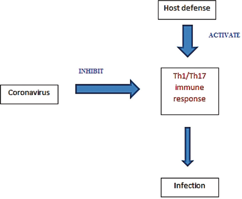 Interrelationship map between the pathological pathway of coronavirus infection and pharmacological pathway of Marijuana