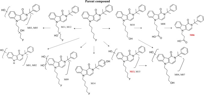Postulated human phase I biotransformation pathways of 5F-CUMYL-PEGACLONE for 20 urine samples investigated. Main metabolites suggested as analytical targets for urine analysis are highlighted in red (M06 and M13)