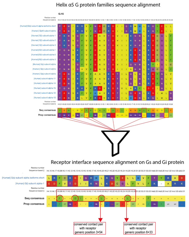 Workflow outlining the selection of structural restraints for Gs–CB1 complex docking.